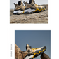 Chaussures d'Aventure Légères Prêtes pour le Sentier