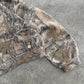 Veste Camo Streetwear