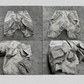 Shorts Cargo Essentiels de l'Explorateur